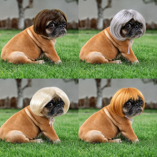 🔥2026 HOT SALE 49% OFF - 🐶 Funny Pet Wig Headband for Dogs & Cats – Cute Costume Accessory for Photos, Parties & Holidays