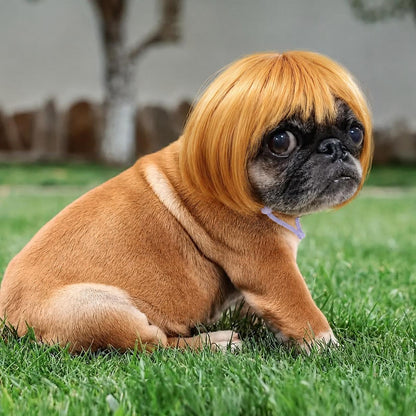 🔥2026 HOT SALE 49% OFF - 🐶 Funny Pet Wig Headband for Dogs & Cats – Cute Costume Accessory for Photos, Parties & Holidays