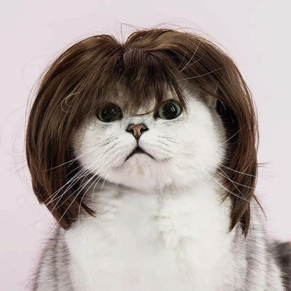 🔥2026 HOT SALE 49% OFF - 🐶 Funny Pet Wig Headband for Dogs & Cats – Cute Costume Accessory for Photos, Parties & Holidays