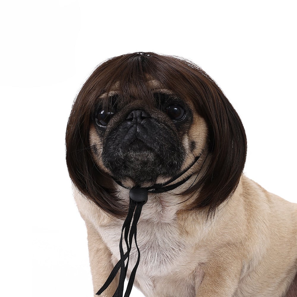 🔥2026 HOT SALE 49% OFF - Cute Pet Wig Headband – Funny Costume Accessory for Dogs & Cats