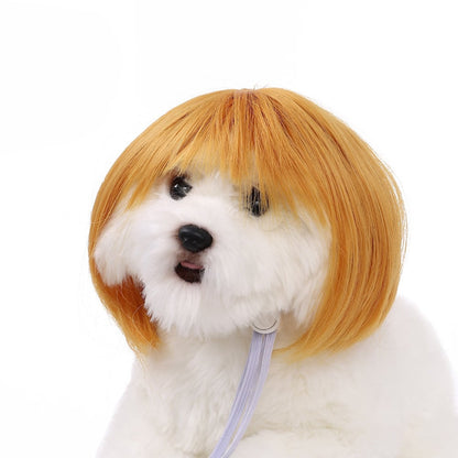 🔥2026 HOT SALE 49% OFF - Cute Pet Wig Headband – Funny Costume Accessory for Dogs & Cats