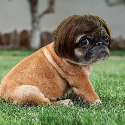 🔥2026 HOT SALE 49% OFF - 🐶 Funny Pet Wig Headband for Dogs & Cats – Cute Costume Accessory for Photos, Parties & Holidays