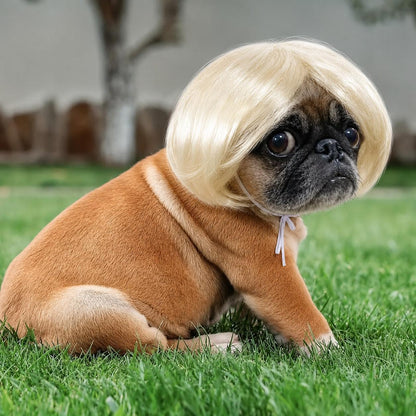 🔥2026 HOT SALE 49% OFF - 🐶 Funny Pet Wig Headband for Dogs & Cats – Cute Costume Accessory for Photos, Parties & Holidays