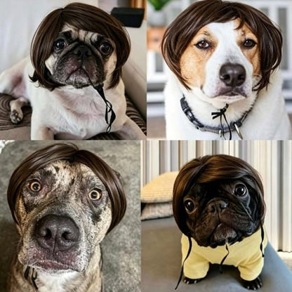 🔥2026 HOT SALE 49% OFF - 🐶 Funny Pet Wig Headband for Dogs & Cats – Cute Costume Accessory for Photos, Parties & Holidays