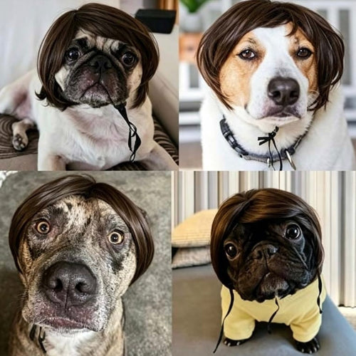🔥2026 HOT SALE 49% OFF - Cute Pet Wig Headband – Funny Costume Accessory for Dogs & Cats