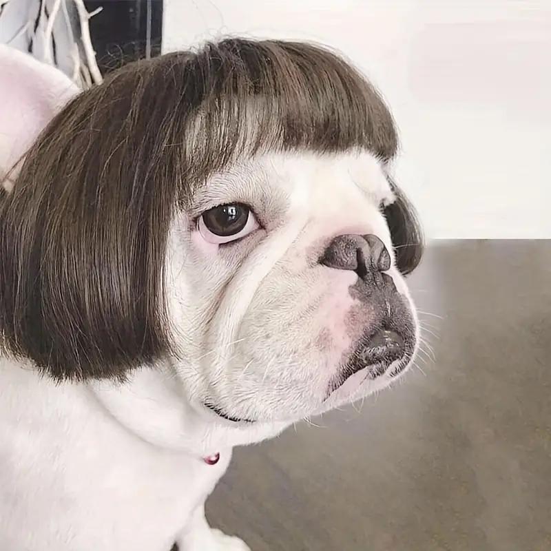 🔥2026 HOT SALE 49% OFF - 🐶 Funny Pet Wig Headband for Dogs & Cats – Cute Costume Accessory for Photos, Parties & Holidays