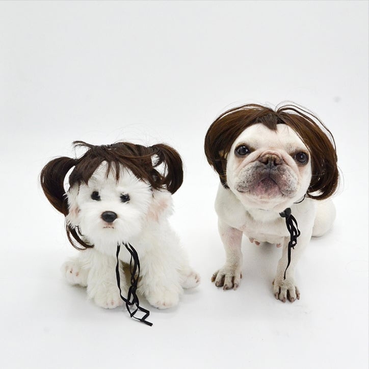 🔥2026 HOT SALE 49% OFF - 🐶 Funny Pet Wig Headband for Dogs & Cats – Cute Costume Accessory for Photos, Parties & Holidays